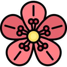 樱花