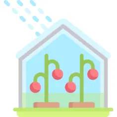 Greenhouse