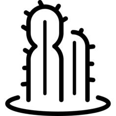 cactus