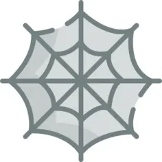 蜘蛛网