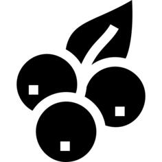 蓝莓