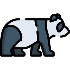 Panda bear