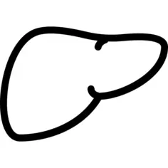 肝