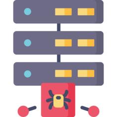 Server