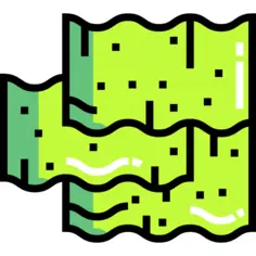 Seaweed