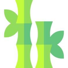 Bamboo