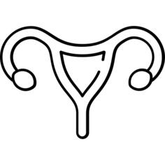 子宫