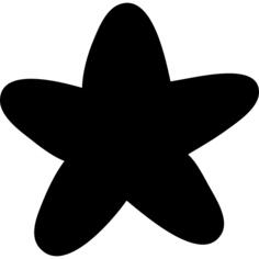 最喜欢的明星