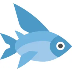 Flying fish