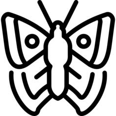 大玳瑁蝴蝶
