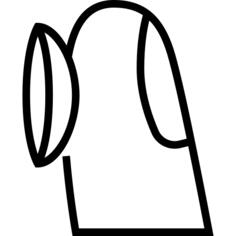 隐形眼镜