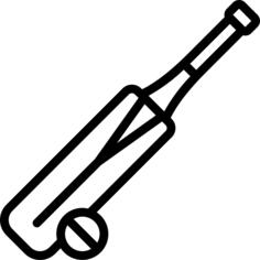 Cricket