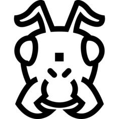 昆虫脸部轮廓