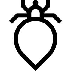 Louse