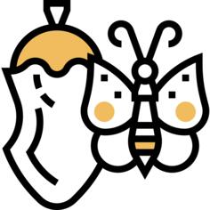 生活