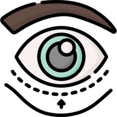 解剖学