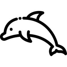 海豚