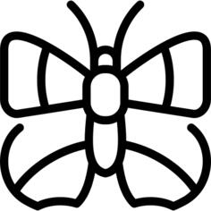 小铜蝴蝶