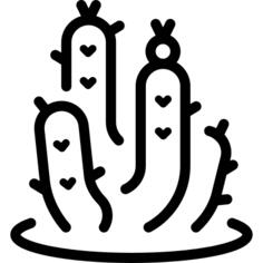 cactus