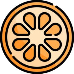 Orange slice