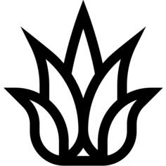 Agave
