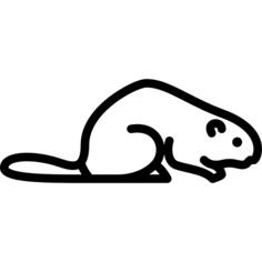 Beaver