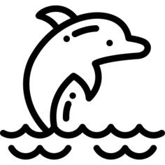 Dolphin