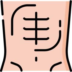 Abs