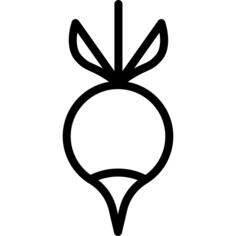 Radish