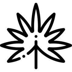 Palm