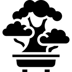 Bonsai