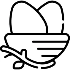巢