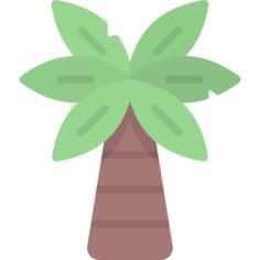 Palm tree
