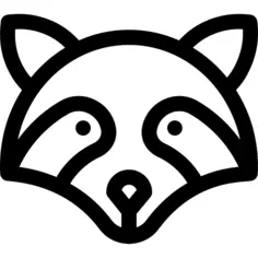 Raccoon