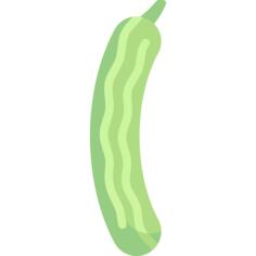 Cucumber