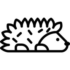 Hedgehog