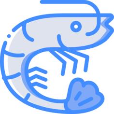 Shrimp