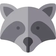 Raccoon