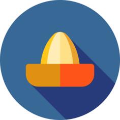 Juicer