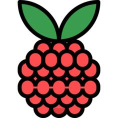 Raspberry