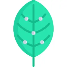 Renewable energy