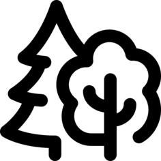 森林
