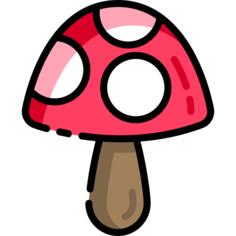 蘑菇
