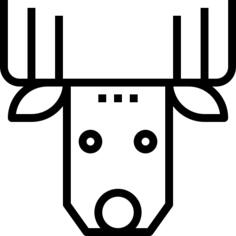 Reindeer