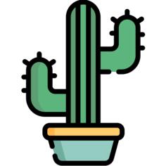 Cactus
