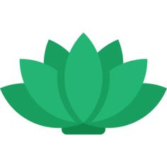 Agave
