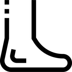 踝