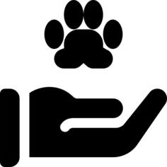 关心