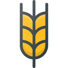 小麦