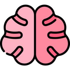 Brain